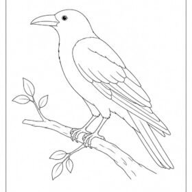 A4 Size Printed Drawing Sheet – Crow Drawing (Code – 116)