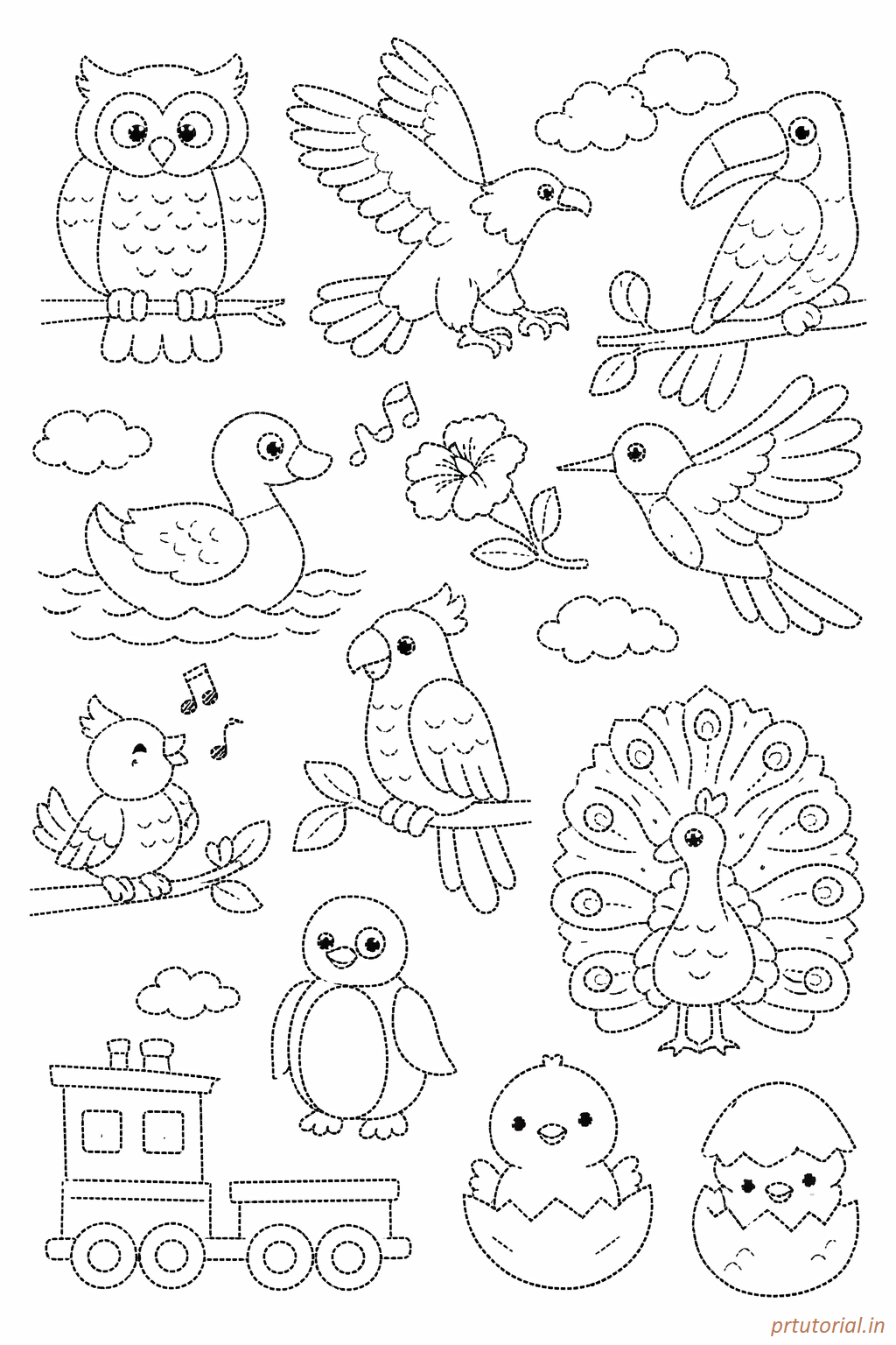 A4 size printed drawing sheet birds drawing
