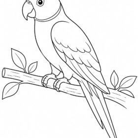 A4 Size Printed Drawing Sheet – Parrot Drawing (Code – 129)