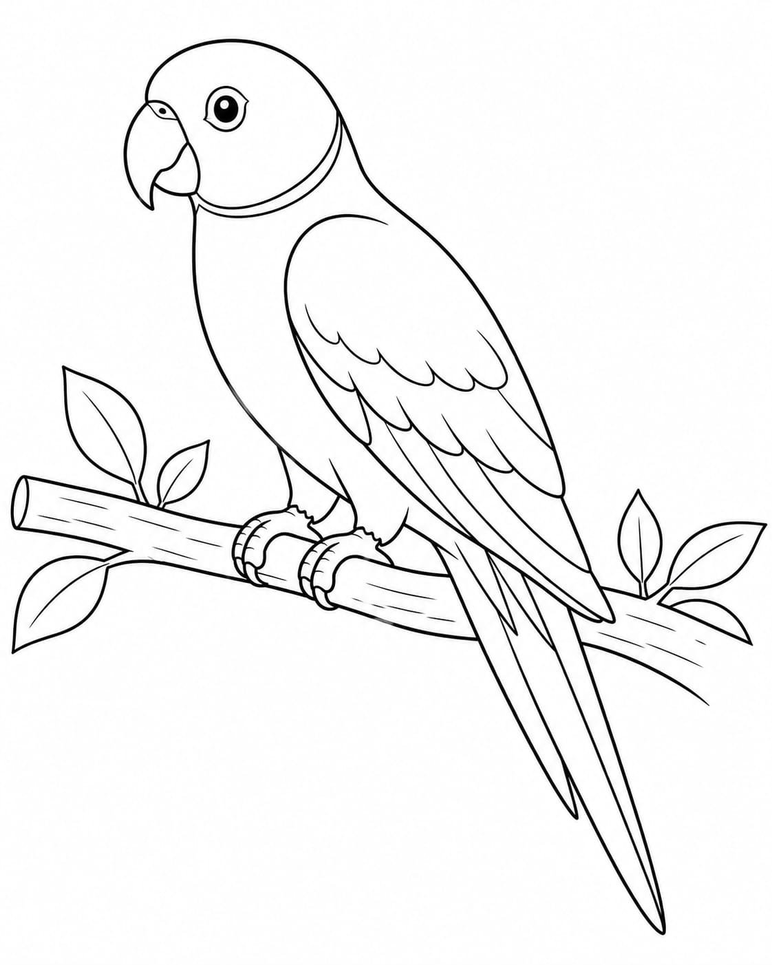 A4 size printed drawing sheet parrot drawing