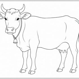 A4 Size Printed Drawing Sheet – Cow Drawing (Code – 131)