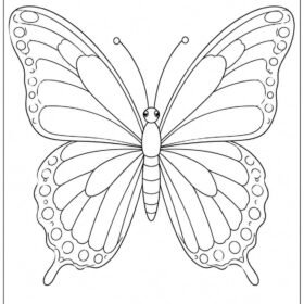 A4 Size Printed Drawing Sheet – Butterfly Drawing (Code – 134)
