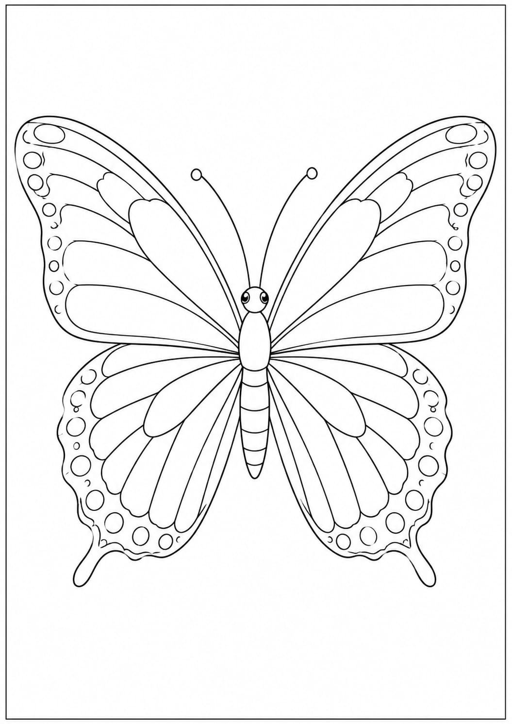 A4 size printed drawing sheet butterfly drawing