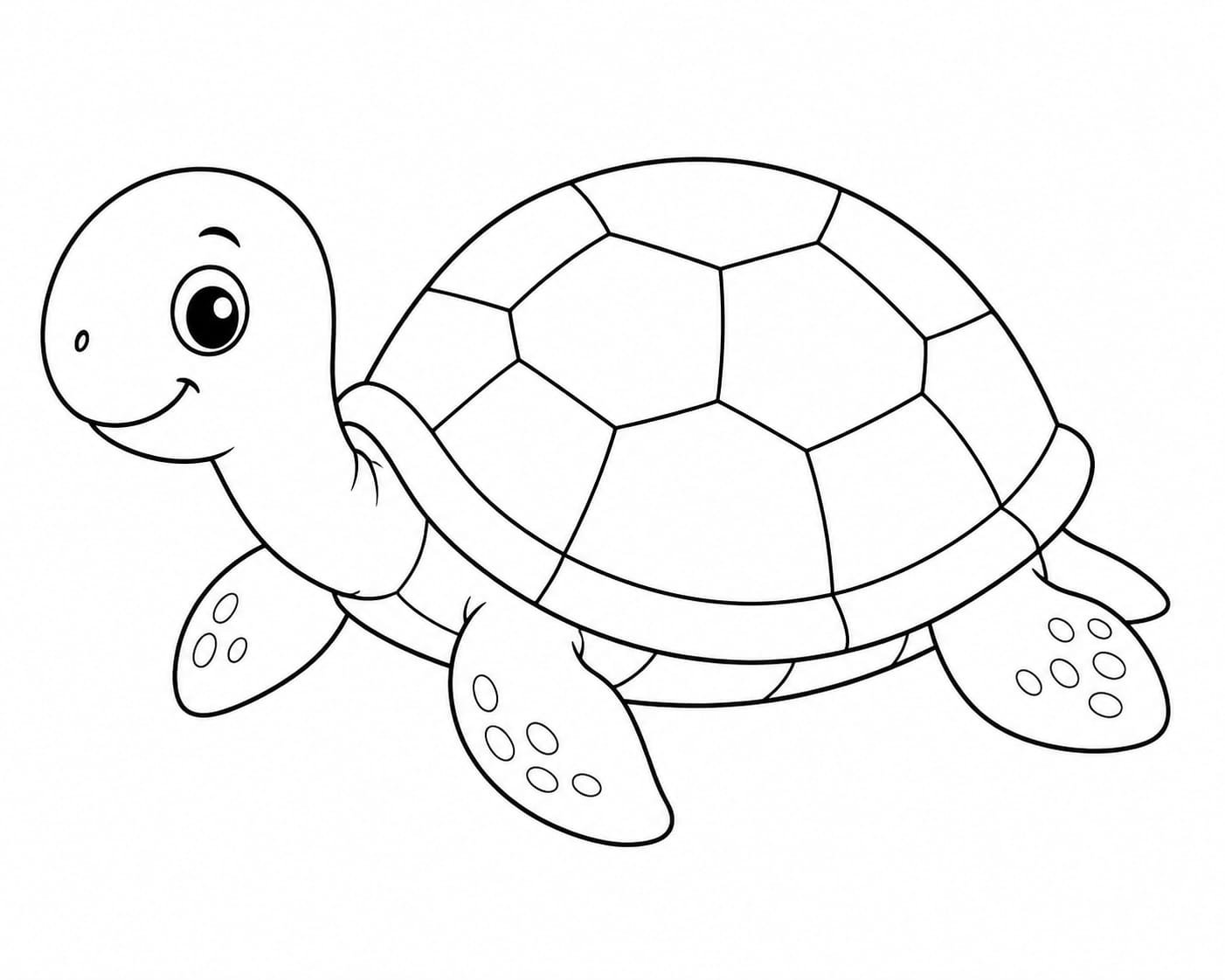 turtle drawing