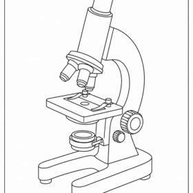 Microscope Drawing | A4 Printed (Code-1406)