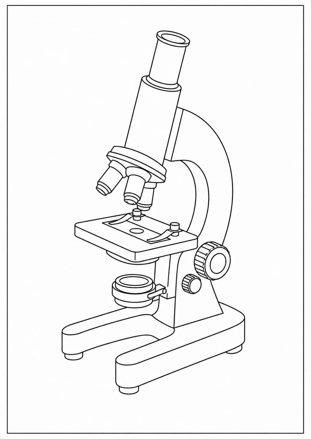 microscope drawing