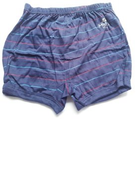 Mithila Drawer Stripped Cotton Briefs For Boys