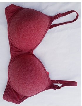 Seamless Women Bra