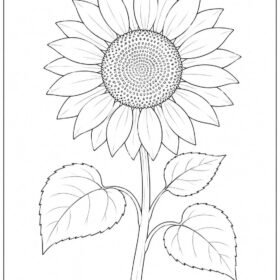 A4 Size Printed Sunflower Drawing Sheets for Kids (Code – 203)