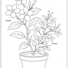 A4 Size Printed Flower Drawing Sheets for Kids (Code – 205)