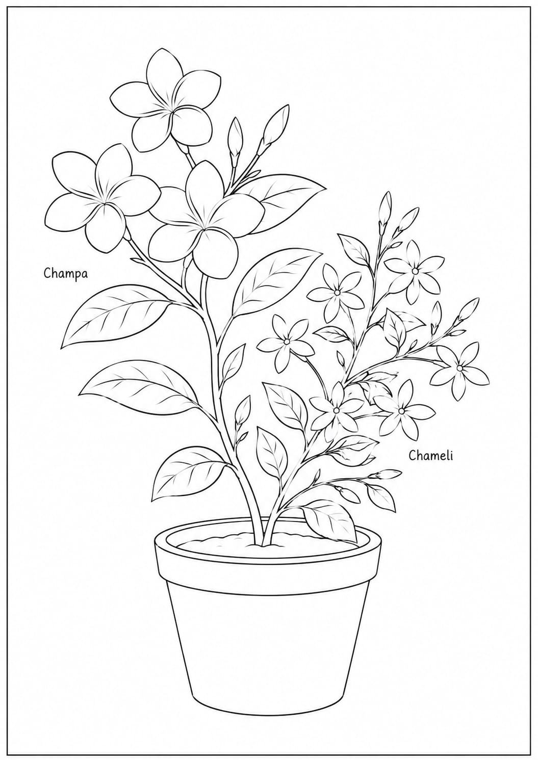 flower drawing