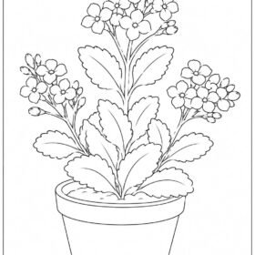 A4 Size Printed Flower Drawing Sheets for Kids (Code – 206)