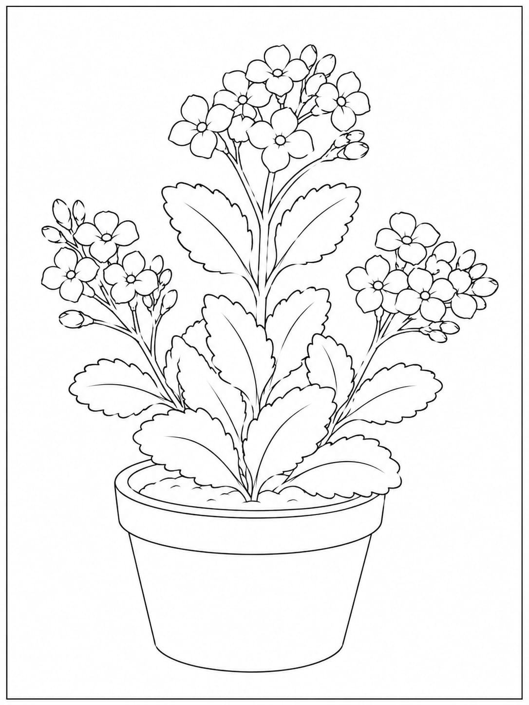 flower drawing