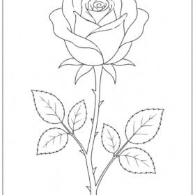 A4 Size Printed Rose Drawing Sheets for Kids (Code – 207)