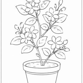 A4 Size Printed Flower Drawing Sheets for Kids (208)