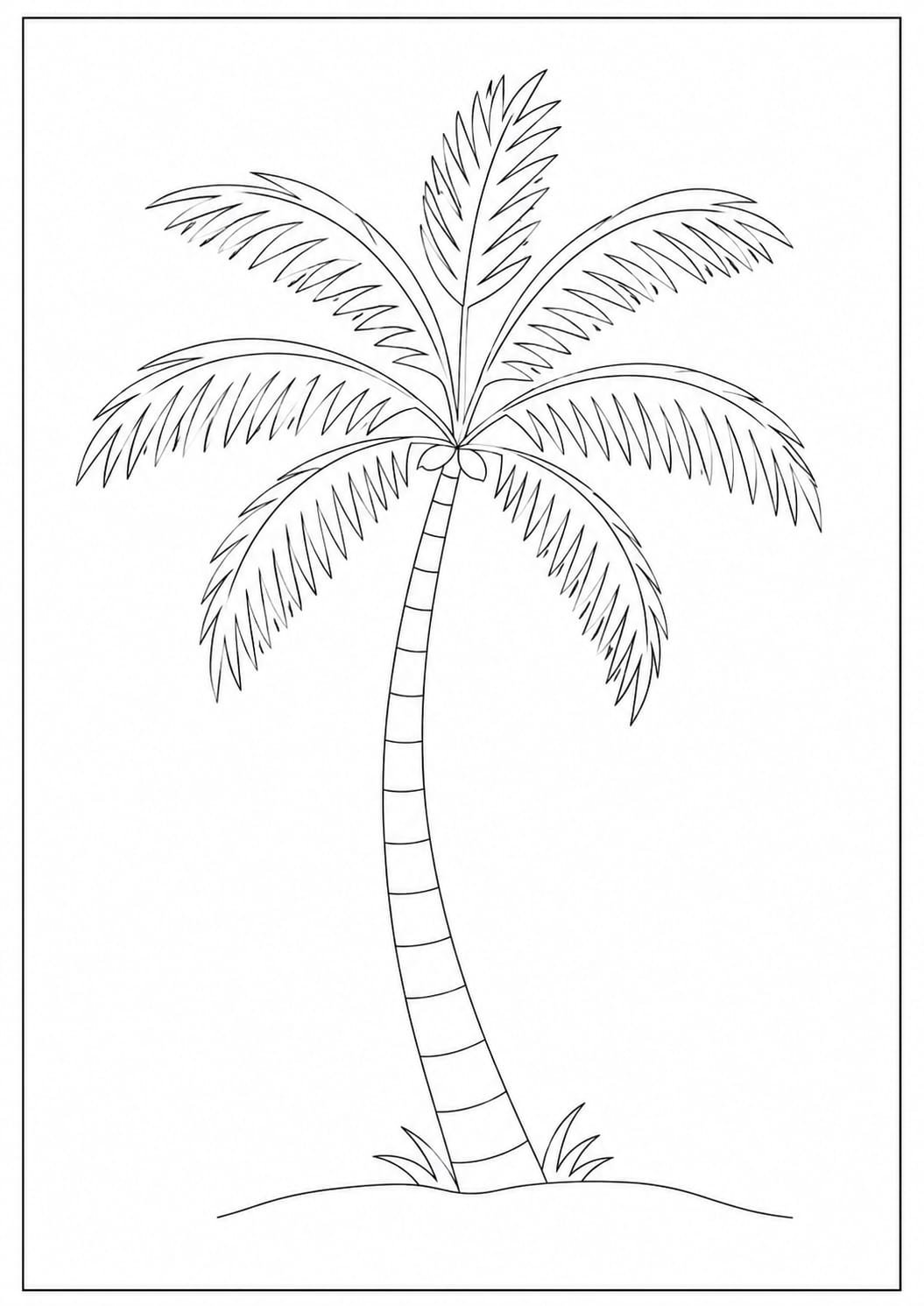 palm tree drawing
