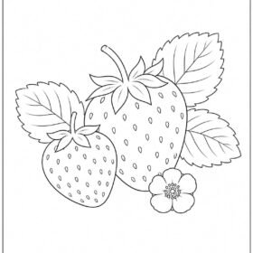 A4 Size Printed Strawberry Drawing Sheets for Kids (Code – 601)