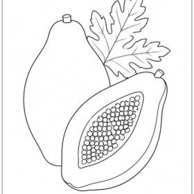 A4 Size Printed Papaya Drawing Sheets for Kids (604)
