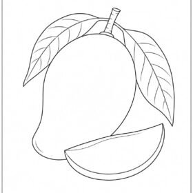 A4 Size Printed Mango Drawing Sheets for Kids (605)