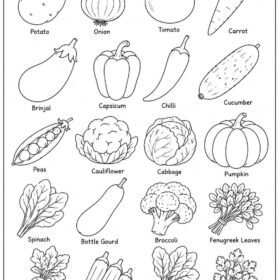 A4 Printed Vegetable Colouring Pages (606)