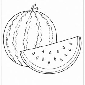 A4 Size Printed Drawing Sheet – Watermelon Drawing (611)