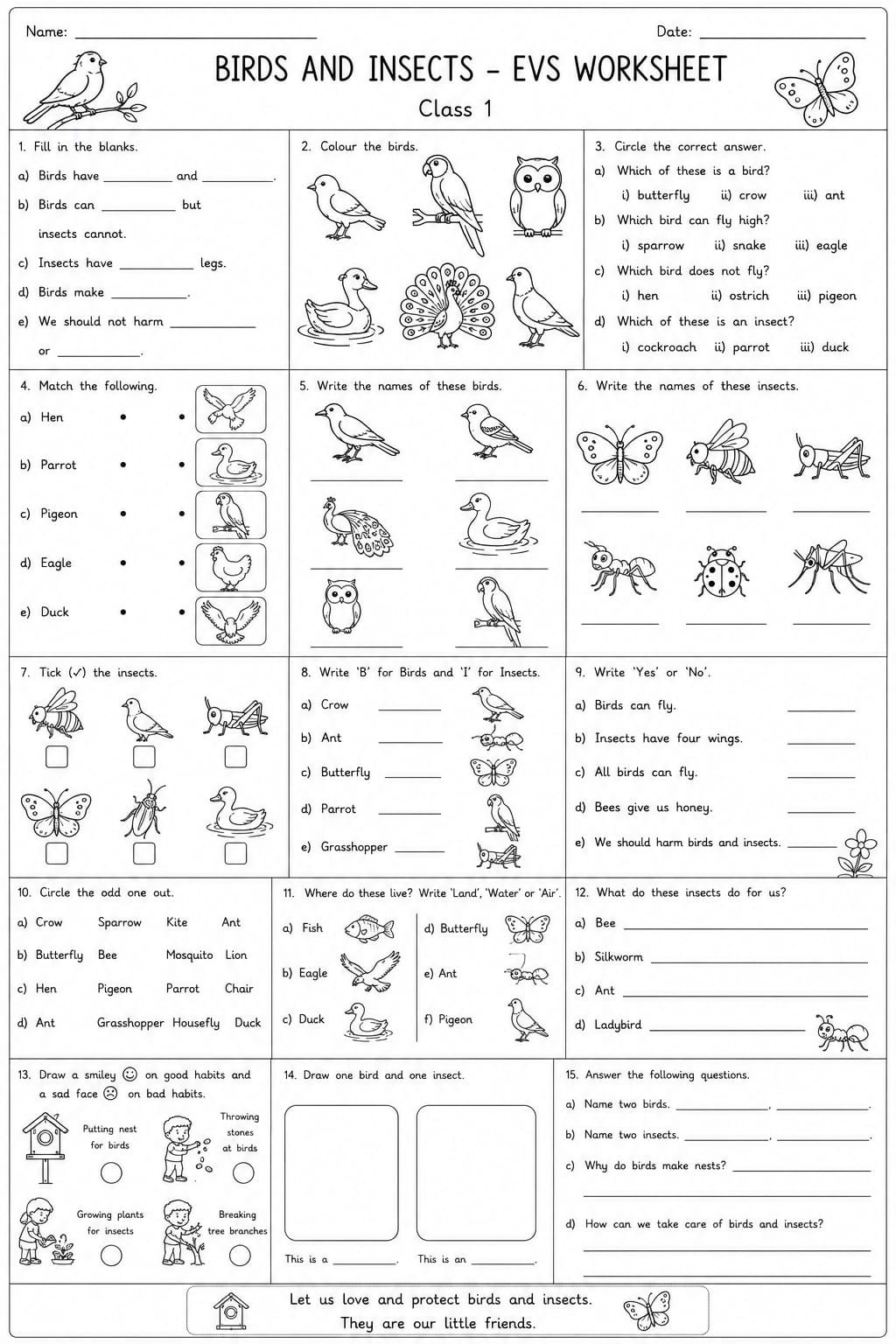 Class 1 EVS Bird and Insect Worksheet
