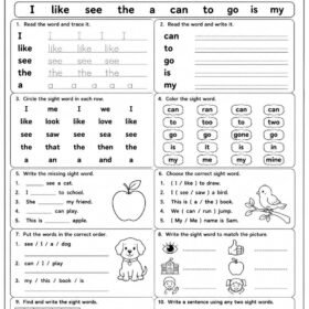 Sight Words Worksheet for Kindergarten | A4 Size Printed