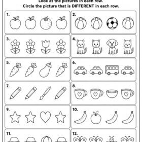 Same and Different Worksheet for Kindergarten | A4 Size Printed