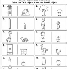 Tall or Short Worksheet for Kindergarten | A4 Size Printed