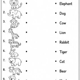 Animals Match Worksheet for Kindergarten | A4 Size Printed