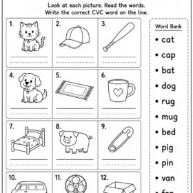 CVC Words Worksheet for Kindergarten | A4 Size Printed