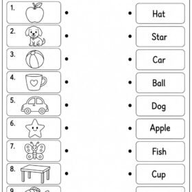 Matching Worksheet for Kindergarten | A4 Size Printed
