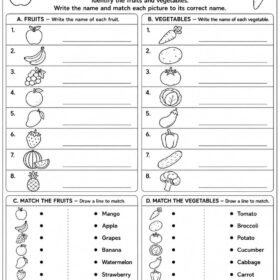 Fruits and Vegetables Worksheet for Kindergarten | A4 Size Printed