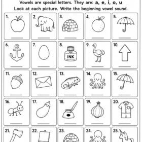 Vowels Worksheet for Kindergarten | A4 Size Printed