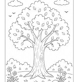 Nature Drawing