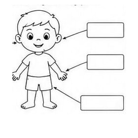 A4 Size Printed EVS Worksheets for Class 1
