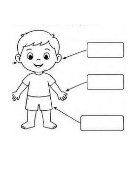 evs worksheet for class 1